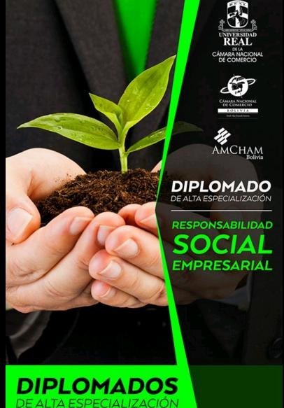 diplomado rse2