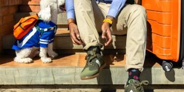 EcoAguinaldo: El ahorro que cuida tu dinero y futuro con AMOR